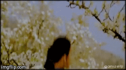 Image result for isha sharvani gif