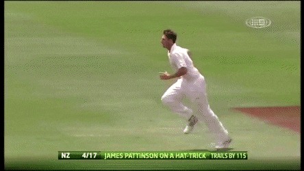 James Pattinson's 150 kph yorker to Jesse Ryder (on a hat-trick) - Cricket