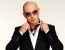 pitbull