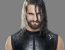 Seth Rollins profile