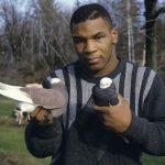 Tyson with Pigeons