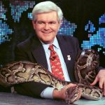 newt-gingrich-animal-lover