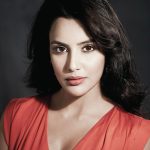 Priya Anand (Actress) Height, Weight, Age, Biography, Affairs & More