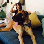 Kim Sharma pet lover