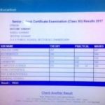 Bhoomi Sawant's marksheet of class 12th CBSE exam