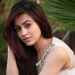Aksha Pardasany (Actress) Height, Weight, Age, Boyfriend, Biography & More