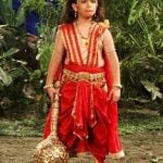 Krish Chauhan as Young Hanuman