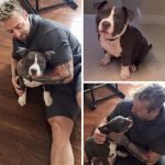 Kris Gethin a Pitbull Lover