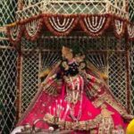 Shri Mridul Krishna Shastri in Shri Radha Sneh Bihari Temple