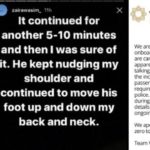 Zaira Wasim molested