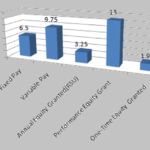 Salary Description of Salil Parekh