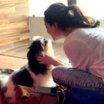 Hira Ashar loves dogs