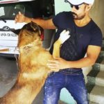 Amit Tiwari, a dog lover