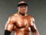 Bobby Lashley