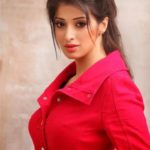 MS Dhoni's ex-girlfriend, Lakshmi Rai