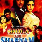 Govind Namdev's Debut Movie Shola Aur Shabnam (1992)