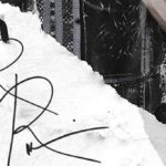 Roman Reigns' Signature