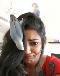 Sreelakshmi Sreekumar with her pet birds