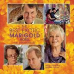 Tina Desai- The Best Exotic Marigold Hotel