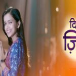 “Dil Yeh Ziddi Hai” Actors, Cast & Crew: Roles, Salary