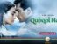 Qubool Hai 2.0