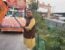 Chander Parkash Kathuria's picture