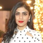 Nikita Singh Age, Boyfriend, Husband, Family, Biography & More